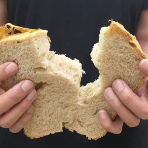 送料無料 純国産全粒粉 高そうな感じの食パンミ...の詳細画像3