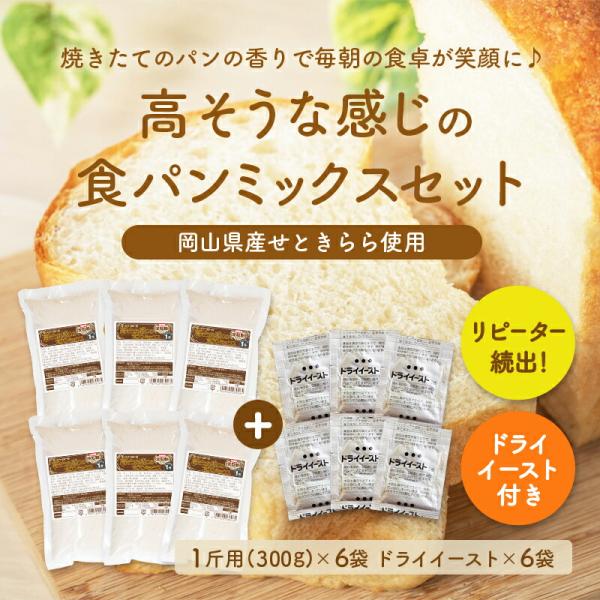 送料無料 純国産全粒粉 高そうな感じのパンミックス6個セット＋イースト6個付（半鐘屋オリジナル・HB...