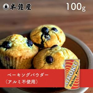 AIKOKU アイコク ベーキングパウダー 100g（ミョウバン不使用・アルミフリー）（膨張剤・ふくらし粉）｜hanshoya