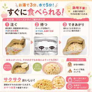 【永谷園フリーズドライご飯 12食セット 】賞...の詳細画像2