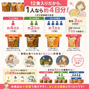 【永谷園フリーズドライご飯 12食セット 】賞...の詳細画像4