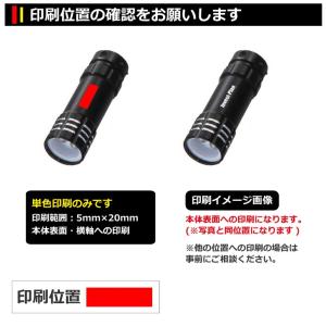 名入れ印刷料金無料 3灯式LEDライト(キーリ...の詳細画像1