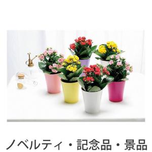 ノベルティ 記念品　カランコエ　 まとめ買い/卸売り｜hansoku