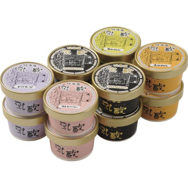 ノベルティ 記念品　乳蔵　北海道プレミアムアイスクリーム5種12個　