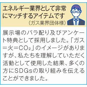 イベント 縁日 催物 抽選会 ザ・除菌ウェット...の詳細画像1