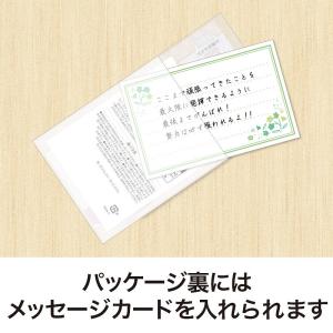 イベント 縁日 催物 抽選会/名入れ ロゴ入れ...の詳細画像3