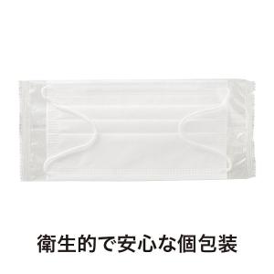 イベント 縁日 催物 抽選会/名入れ ロゴ入れ...の詳細画像5