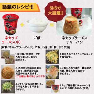 農心 辛カップラーメン(小) 65gの詳細画像1