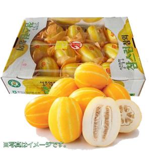 【韓国産果物】まくわうり(チャメ)1箱(約10〜11個)５kg「クール選択商品」