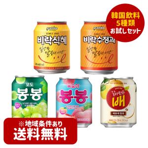 送料無料　韓国飲料お試し5個セット 「ぶどう ボンボン1個+桃 ボンボン1個+梨 ジュース1個+シッケ1個+スジョンガ1個」｜hantosi