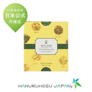 ハヌルホス公式 プレミアムヘアーパック＆コンディショナー 230ml 国内