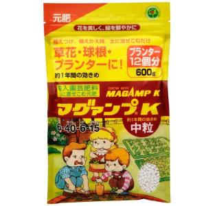元肥 肥料 ハイポネックス マグァンプk中粒 600g Pindo Com Py
