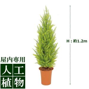 人工植物 グリーンデコ ゴールドクレスト ゴールド 1 2m Pindo Com Py