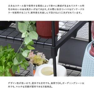 ビニールハウス 家庭菜園 ガーデンハウス フラ...の詳細画像4