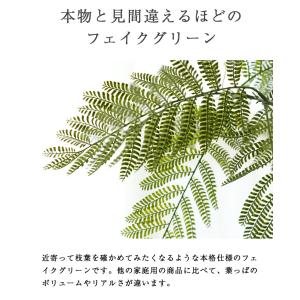 先行予約 ≪レビュー特典≫ フェイクグリーン ...の詳細画像2