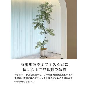 先行予約 ≪レビュー特典≫ フェイクグリーン ...の詳細画像3