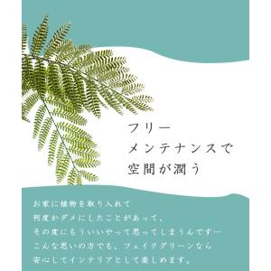先行予約 ≪レビュー特典≫ フェイクグリーン ...の詳細画像4