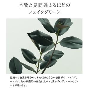先行予約 ≪レビュー特典≫ フェイクグリーン ...の詳細画像2