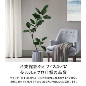 先行予約 ≪レビュー特典≫ フェイクグリーン ...の詳細画像3