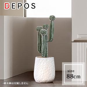 Yoshihiro Fukaki様　弁慶柱　20 サボテン・弁慶柱（サガロサボテン）3号 | 日本ライン花木センター