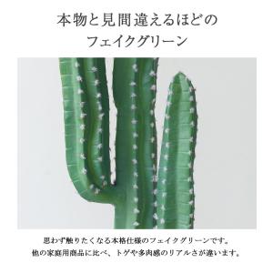 ≪レビュー特典≫ フェイクグリーン 大型 おし...の詳細画像2