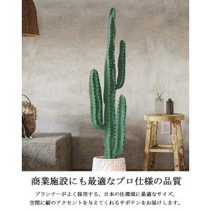 ≪レビュー特典≫ フェイクグリーン 大型 おし...の詳細画像3