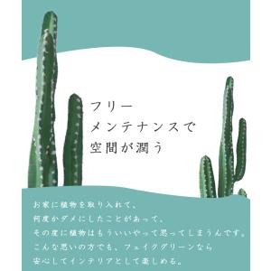 ≪レビュー特典≫ フェイクグリーン 大型 おし...の詳細画像4