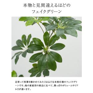 ≪レビュー特典≫ フェイクグリーン 大型 おし...の詳細画像2