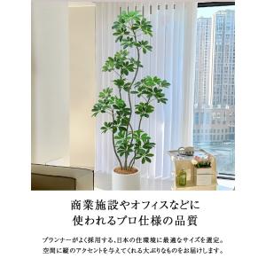 ≪レビュー特典≫ フェイクグリーン 大型 おし...の詳細画像3