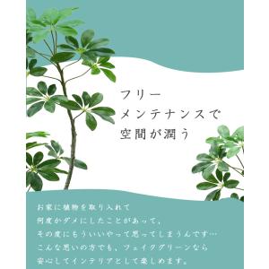 ≪レビュー特典≫ フェイクグリーン 大型 おし...の詳細画像4