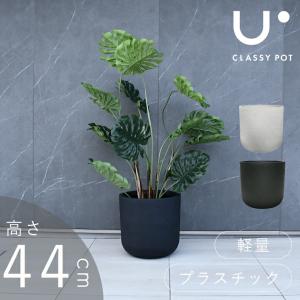 12号角深鉢】ロサオリエンティス コレクターズポット【プレミアローズ