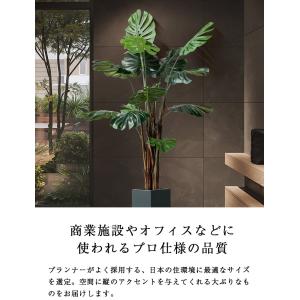 ≪レビュー特典≫ 人工観葉植物 フェイクグリー...の詳細画像4