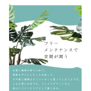 ≪レビュー特典≫ 人工観葉植物 フェイクグリー...の詳細画像5