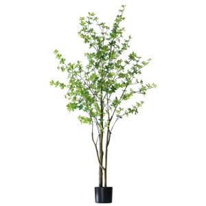 ≪レビュー特典≫ 先行予約11月上旬入荷予定 ...の詳細画像1