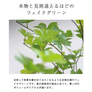 ≪レビュー特典≫ 先行予約11月上旬入荷予定 ...の詳細画像3
