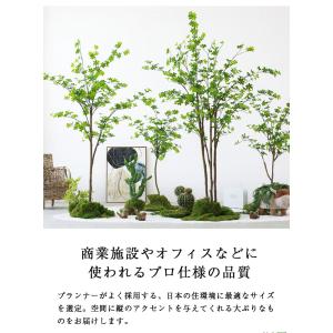 ≪レビュー特典≫ 先行予約11月上旬入荷予定 ...の詳細画像4