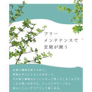 ≪レビュー特典≫ 先行予約11月上旬入荷予定 ...の詳細画像5