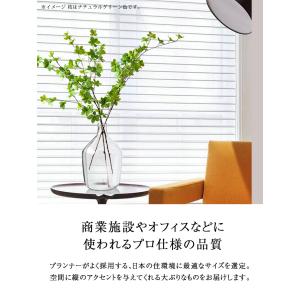 ≪レビュー特典≫ 人工観葉植物 フェイクグリー...の詳細画像4