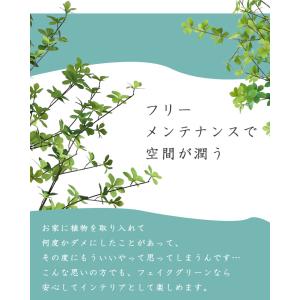 ≪レビュー特典≫ 人工観葉植物 フェイクグリー...の詳細画像5