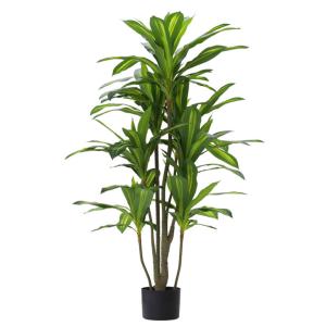先行予約 ≪レビュー特典≫ 人工観葉植物 フェ...の詳細画像1
