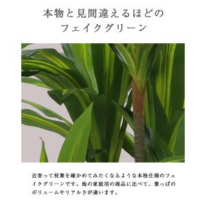 先行予約 ≪レビュー特典≫ 人工観葉植物 フェ...の詳細画像3
