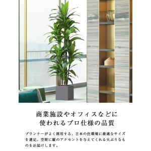 先行予約 ≪レビュー特典≫ 人工観葉植物 フェ...の詳細画像4