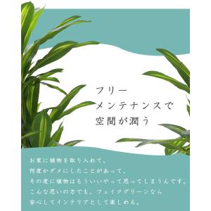 先行予約 ≪レビュー特典≫ 人工観葉植物 フェ...の詳細画像5