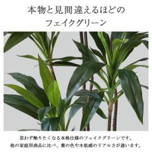 先行予約 ≪レビュー特典≫ フェイクグリーン ...の詳細画像1