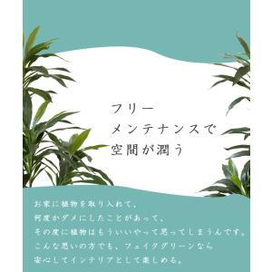先行予約 ≪レビュー特典≫ フェイクグリーン ...の詳細画像3