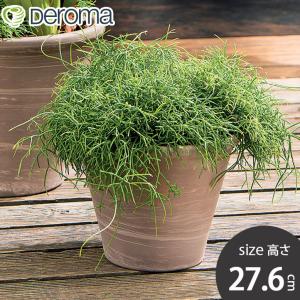 植木鉢 素焼き テラコッタ 3号鉢 プランター DEROMA デロマ キット
