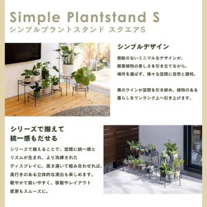シンプルプラントスタンド スクエア S | プ...の詳細画像2