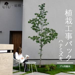 施工付植木/近畿地域限定 シンボルツリー 庭木 落葉広葉樹 樹高2.5m以上(根含まず) UJU 結樹 ゆうじゅ ハナミズキ 代金引換・同梱不可 hnw1｜hanwa-ex