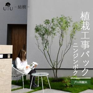 DEPOS 施工付植木/近畿地域限定 シンボルツリー 庭木 落葉樹 落葉高木 
