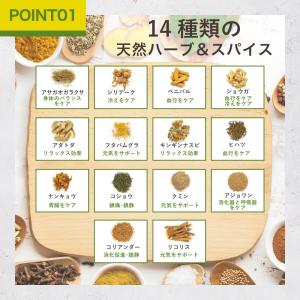 サマハンティー 1箱 4g×20包 スパイステ...の詳細画像2